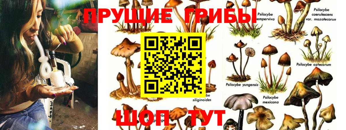 Псилоцибиновые грибы прущие грибы Ефремов