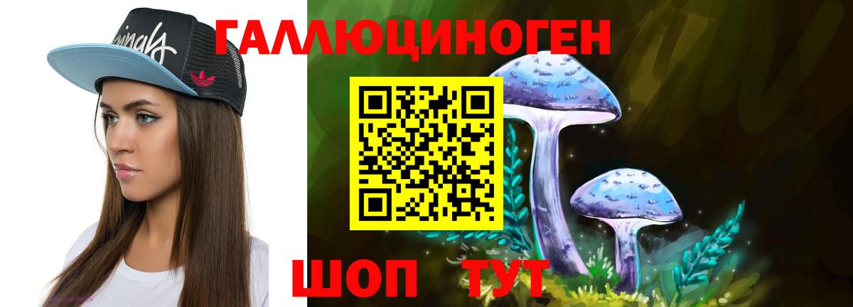 Ефремов  дарнет шоп  Вход с VPN  Галлюциногенные грибы мицелий 